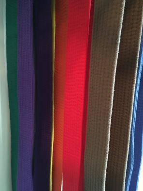 Belt fancy colors